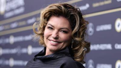 Shania Twain, LL Cool J and More Join CBS Unscripted Series ‘Superfan’ - thewrap.com