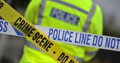 Man arrested after pensioner stabbed to death in home - www.manchestereveningnews.co.uk - London