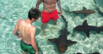 Michelle Obama - David Beckham - Mel 100 (100) - Romeo Beckham - Cruz Beckham - David Beckham and son Cruz swim with sharks on Bahamas holiday - msn.com - USA - Miami - Sweden - Florida - Bahamas - Indiana - county Palm Beach