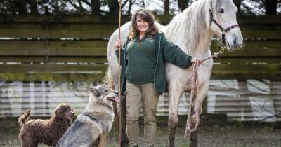 Scots mum who worked with Gerard Butler trains pets to star in blockbuster movies - www.dailyrecord.co.uk - Scotland - state Maine