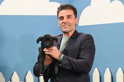 Oscar Isaac Helps Stephen Colbert Find Homes For Rescue Dogs - etcanada.com