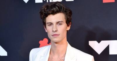 Shawn Mendes Reassures Fans He’s OK After Confessing He ‘Constantly’ Feels Like He’s ‘Drowning’ in Emotional Note - www.usmagazine.com