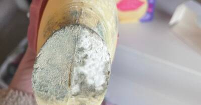 Mum's horror after daughters open 'gross' Sainsbury's Easter egg covered in mould - www.dailyrecord.co.uk