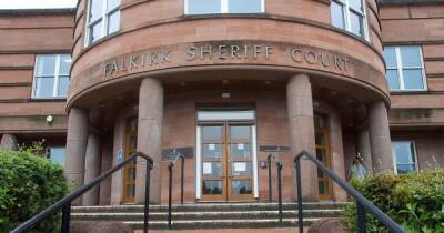 Danielle Macdonald - Dog owner who pelted neighbour with mastiff food in Grangemouth spared jail - dailyrecord.co.uk