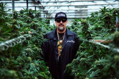 ‘Cypress Hill: Insane in the Brain’ Review: Estevan Oriol’s Documentary is an Entertaining Ode to the L.A. Hip-Hop Innovators - variety.com