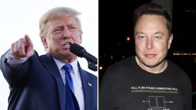 Donald Trump: ‘I Am Not Going Back to Twitter,’ Even With Elon Musk Taking Over - variety.com