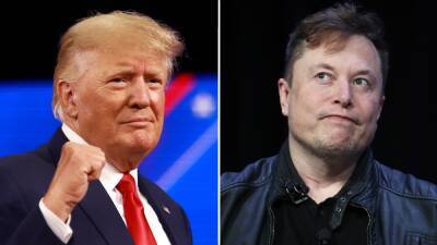 Trump’s Truth Social Rockets to No. 1 Spot on Apple App Chart After Elon Musk’s Purchase of Twitter - thewrap.com
