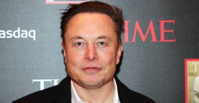 Elon Musk has purchased Twitter - www.thefader.com