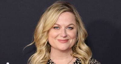 Amy Poehler Addresses the Possibility of a 'Parks & Recreation' Reboot - www.justjared.com - Russia