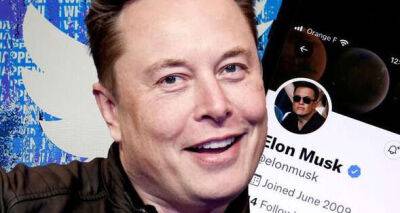 Elon Musk Twitter takeover dubbed 'storm in teacup' after furious backlash and boycott row - www.msn.com