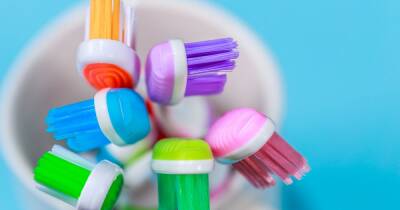 People are only just discovering why toothbrushes have different coloured bristles - www.dailyrecord.co.uk - Canada - county Ontario