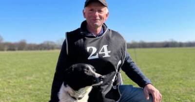 Dog deemed 'too energetic' for Manchester competes for England as a sheepdog - www.manchestereveningnews.co.uk - Scotland - Manchester - Ireland