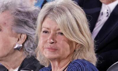 Martha Stewart mourns the death of her cat after her dogs mistakenly killed the pet - us.hola.com - Iran