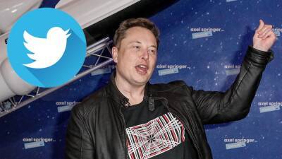 Twitter Stock Surges 27% After Elon Musk Becomes Biggest Shareholder - thewrap.com