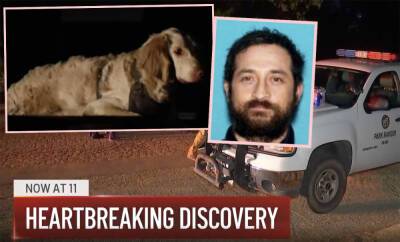 LA Hiker Found Dead After 2 Weeks -- With Loyal Dog Still Waiting For Him To Wake Up - perezhilton.com - Los Angeles - Los Angeles - California - Florida