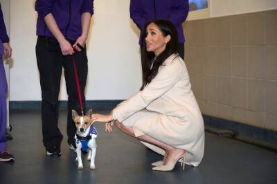 Meghan Markle Honours Her ‘Dear Friend’ After His Death, Names Wing After Him At Animal Charity Mayhew - etcanada.com - Britain - Ukraine