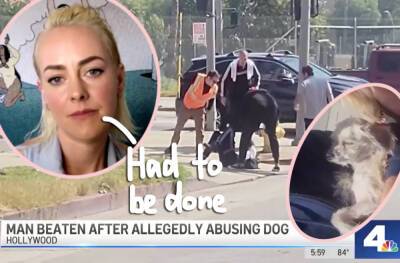 Man Seen Abusing Little Dog Gets Chased Down & Beaten By Group Including Hunger Games Star Jena Malone! - perezhilton.com - Hollywood