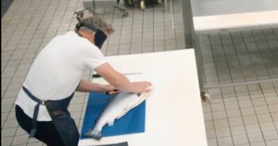 Gordon Ramsay fillets salmon while blindfolded in latest episode of Future Food stars - www.dailyrecord.co.uk - Scotland