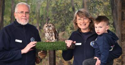 The Scottish Owl Centre is set to celebrate 10th anniversary in West Lothian - www.dailyrecord.co.uk - Britain - Scotland - Centre - city Campbeltown