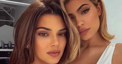 Kendall and Kylie Jenner look like actual twins in glam new makeup collection snaps - www.ok.co.uk