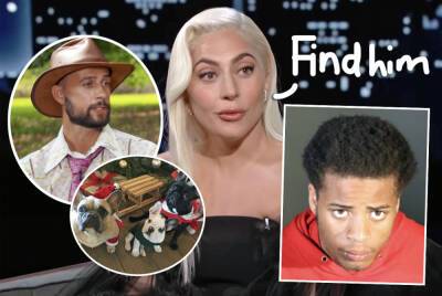 Suspect Accused Of Shooting Lady GaGa’s Dog Walker Mistakenly RELEASED From Jail!! - perezhilton.com