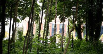 The secret Trafford Centre woodland by the M60 which thousands of shoppers drive by - www.manchestereveningnews.co.uk