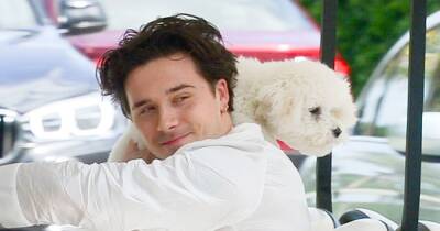 Brooklyn Beckham cuddles pet dog on the morning of wedding to Nicola Peltz - www.ok.co.uk - Miami - Florida