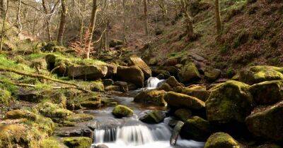 The beautiful woodland walk in the Peak District with tumbling waterfalls - www.manchestereveningnews.co.uk - Britain - Manchester
