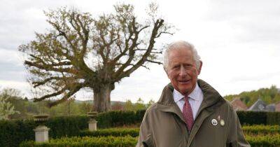 prince Charles - Charles Ii II (Ii) - Prince Charles calls for ‘dwindling’ ancient woodlands to be protected in new project - manchestereveningnews.co.uk - Britain - Scotland - Manchester - county Charles - county Wood