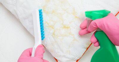 Little-known cleaning hack experts use on 'unsettling' yellow pillow stains - www.dailyrecord.co.uk