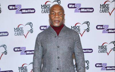 No Charges For Mike Tyson For Punching Airplane Passenger - etcanada.com - Florida - San Francisco - county San Mateo