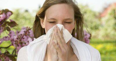 Hay fever warning in UK amid high pollen levels this weekend - manchestereveningnews.co.uk - Britain - Manchester