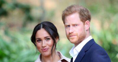 prince Harry - Meghan Markle - prince Charles - Oprah Winfrey - Prince Harry - Charles Princecharles - Royal Family - Tina Brown - Charles will 'need Harry and Meghan' when he becomes King, expert says - ok.co.uk - Britain - Netherlands