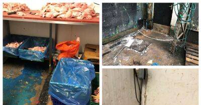 Emma Barton - Filthy, illegal chicken factory which supplies takeaways and restaurants fined after ignoring order to shut down - manchestereveningnews.co.uk - Britain - Manchester - county Oldham