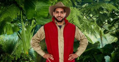 Amir Khan teases return to I’m A Celebrity All-Stars series: ‘It was the best experience' - www.msn.com - Australia - South Africa