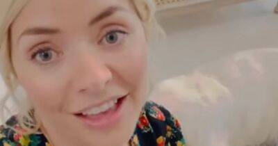 Holly Willoughby - Holly Willoughby shares nifty hack for dog owners and fans are calling it a 'genius' move - ok.co.uk