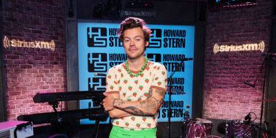 Olivia Wilde - Howard Stern - Harry Styles Responded To A Question About Falling 'In Love' With Olivia Wilde On Set Of 'Don't Worry Darling' - msn.com - Italy - county Love