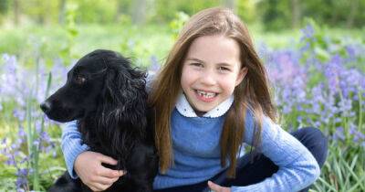 New pictures of Princess Charlotte released to mark her seventh birthday - www.msn.com - county Windsor