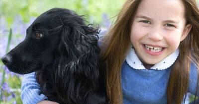 Picture released of Princess Charlotte and pet dog Orla to mark seventh birthday - www.msn.com - London - city Sandringham - county Norfolk