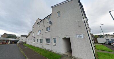 Woman rushed to hospital after 'fall from Scots flat window' as man arrested over 'murder bid' - dailyrecord.co.uk - Scotland