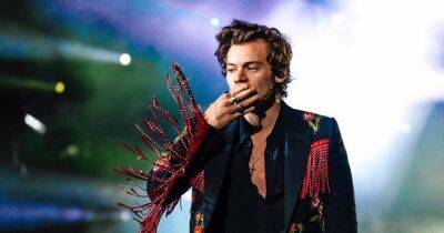 Harry Styles - Bethan Roberts - Harry Styles will flash his bum in new film – but there won't be full frontal nudity - ok.co.uk - Britain - USA