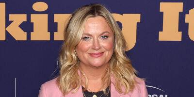Amy Poehler Is Pretty in Pink at NBCU FYC House's 'Baking It/Making It' Carpet - www.justjared.com