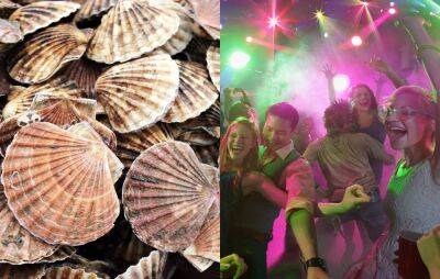 Scientists discover that scallops “love” disco lights - www.nme.com - city York