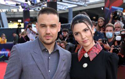 Liam Payne - Maya Henry - Liam Payne’s Fiancée Maya Henry Asks Fans To Stop Sending Her Photos Of Him With Another Woman - etcanada.com
