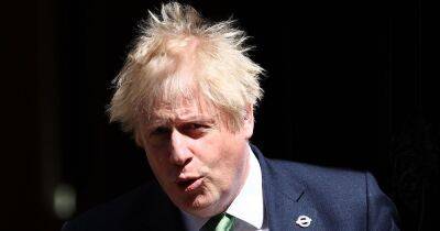 Boris Johnson - Sue Gray - Downing Street denies Boris Johnson told Sue Gray to not publish partygate report - dailyrecord.co.uk