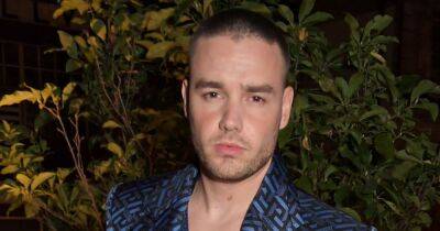 Liam Payne - Maya Henry - Who is Liam Payne's new mystery woman? Everything you need to know - ok.co.uk - USA