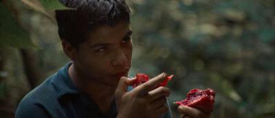 Cannes Review: Andres Ramirez Pulido’s ‘La Jauria’ - deadline.com - USA - Colombia