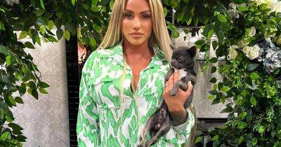 Katie Price - Katie Price petition to ban star from owning dogs gets 20,000 signatures as she buys pup - ok.co.uk