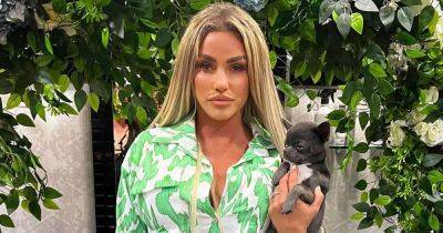 Katie Price - Petition for Katie Price to be banned from owning dogs reaches 20k signatures after she buys another pup - dailyrecord.co.uk - France