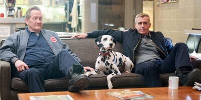 'Chicago Fire' Dalmatian Sadly Dies Ahead of Season 10 Finale - justjared.com - Chicago